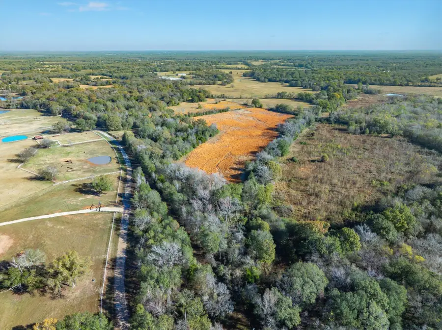 TBD Van Zandt County Road 1806, Grand Saline, TX 75140 - Image #2
