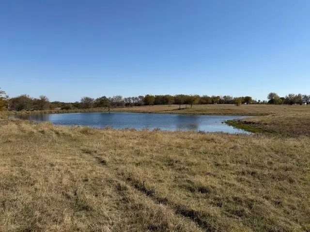 124.75ac Donald Road, Krum, TX 76249 - Image #3