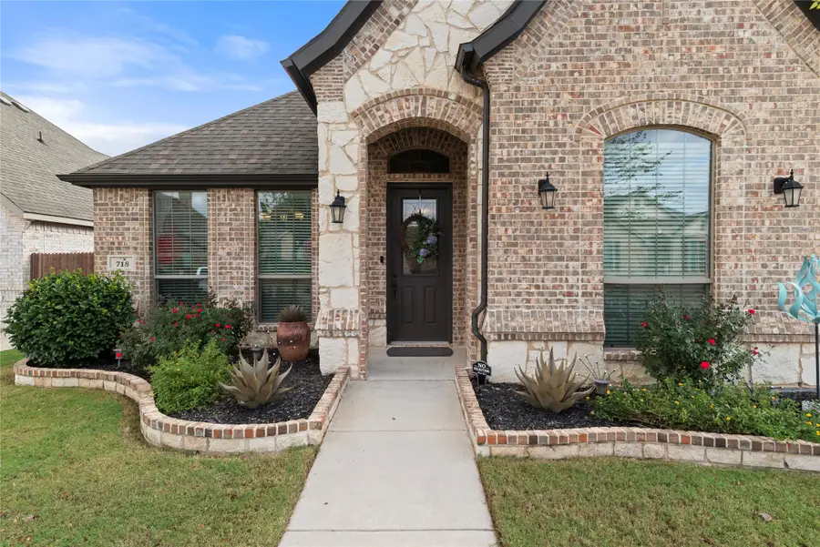 718 Indian Blanket Drive, Midlothian, TX 76065 - Image #3