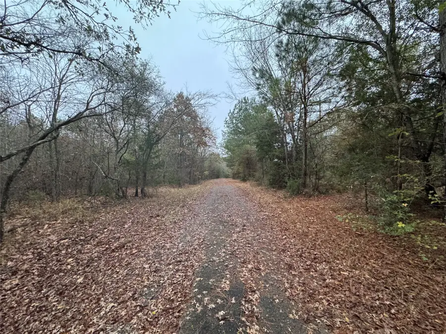 6229 County Rd 21, Tyler, TX 75707 - Image #2