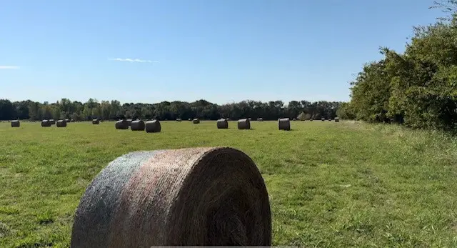 TBD Jay Road, Van Alstyne, TX 75495 - Image #2