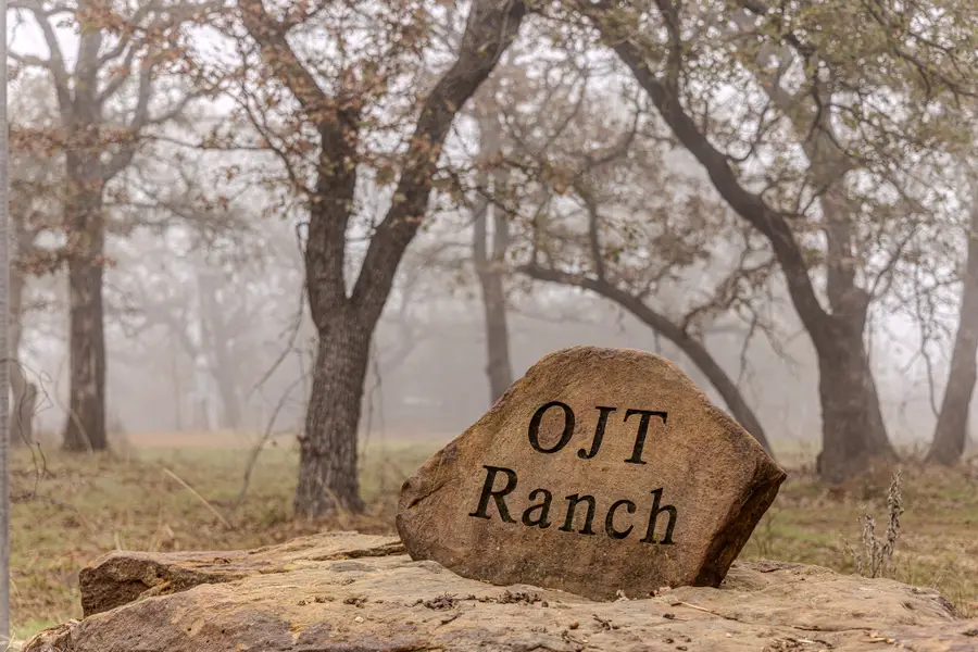 2946 Fm 52, Graford, TX 76449 - Image #3