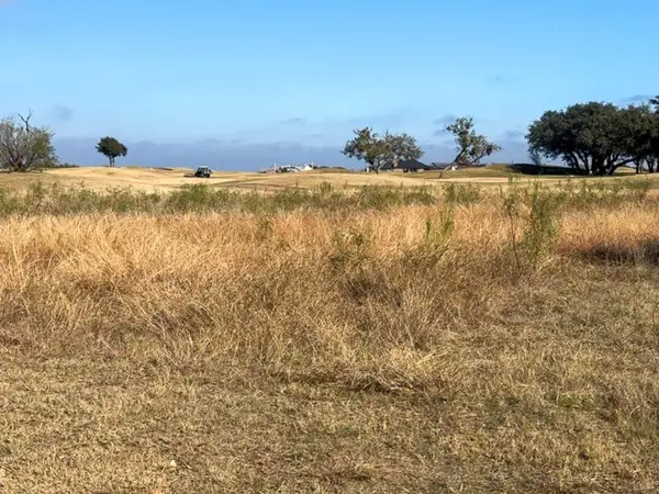 80 Clubhouse Drive, Graford, TX 76449