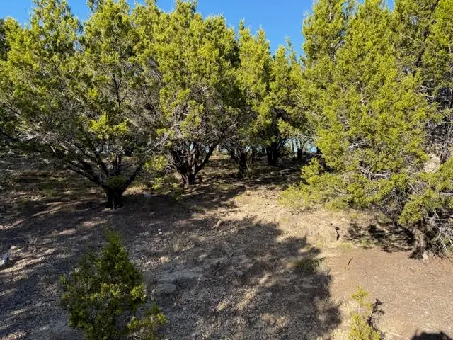 Lot 599 Caprock Court, Possum Kingdom Lake, TX 76449 - Image #1