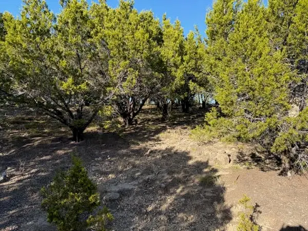 Lot 599 Caprock Court, Possum Kingdom Lake, TX 76449