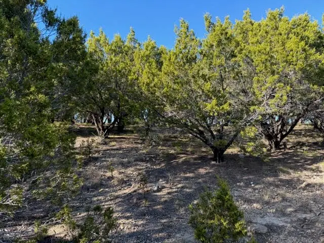 Lot 599 Caprock Court, Possum Kingdom Lake, TX 76449 - Image #2
