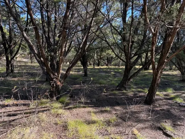 Lot 599 Caprock Court, Possum Kingdom Lake, TX 76449 - Image #3