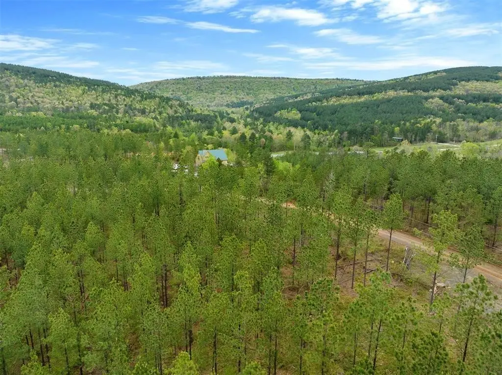 10 Three Waters, South Le Flore, OK 74957 - Image #1