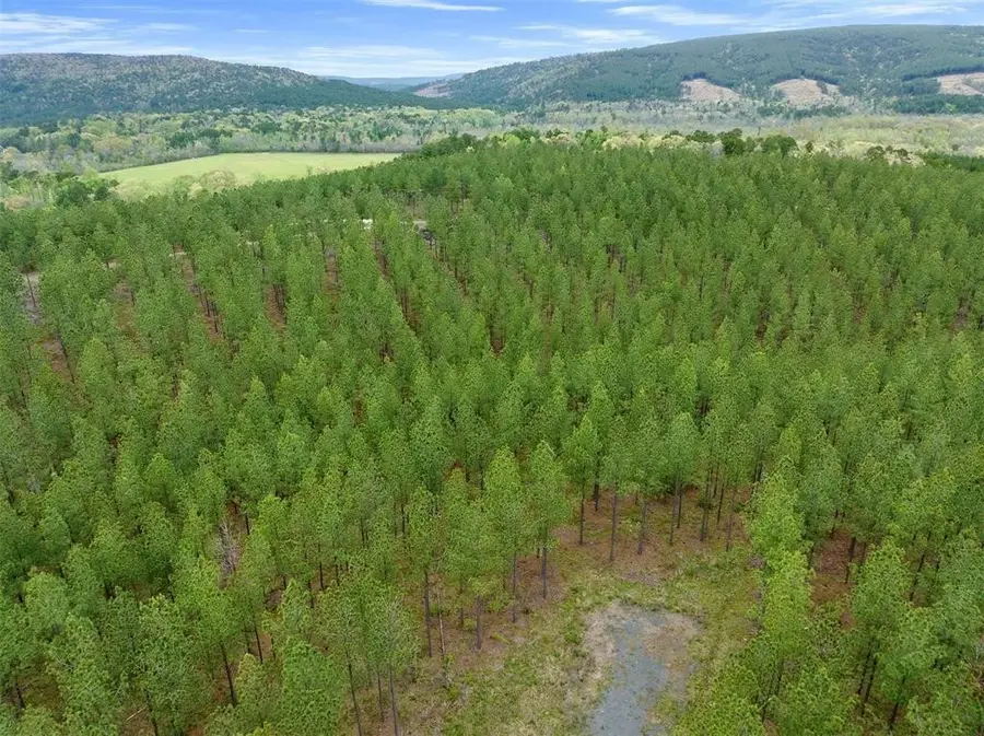 10 Three Waters, South Le Flore, OK 74957 - Image #2