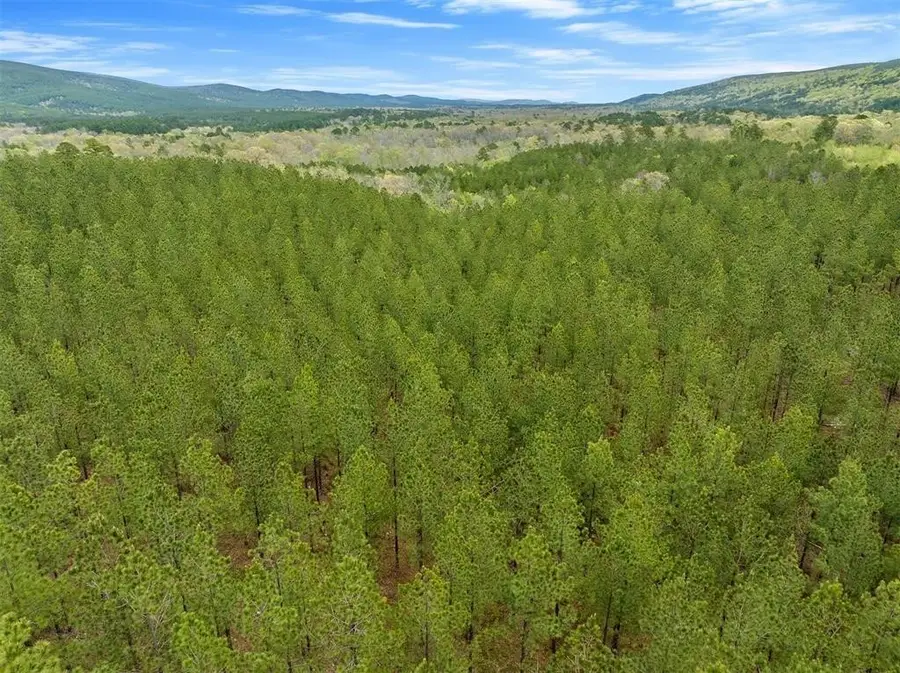 10 Three Waters, South Le Flore, OK 74957 - Image #3