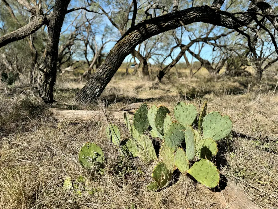 2055 County Road 472, Rochelle, TX 76872 - Image #2