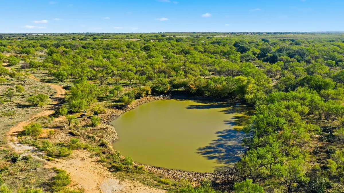 TBD Fm 880, Moran, TX 76464 - Image #1