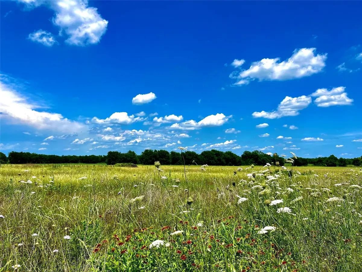 Lots 7, 8, & 9 Cr-590, Nevada, TX 75173 - Image #1