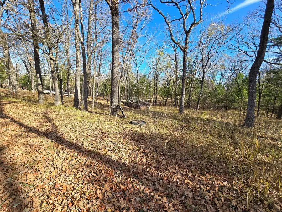 508 Vz County Road 1919, Fruitvale, TX 75127 - Image #3