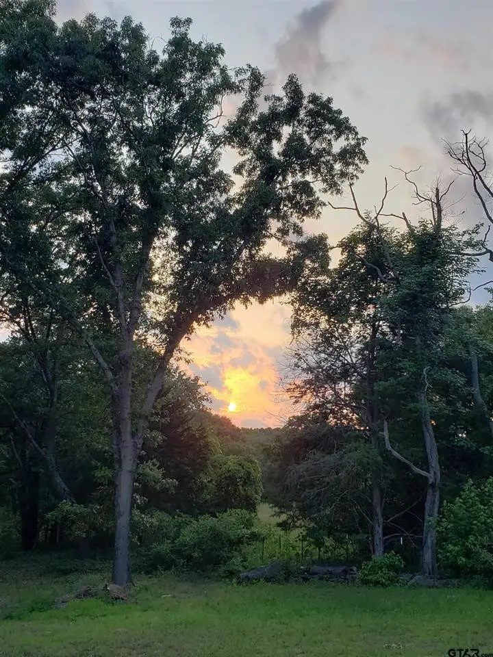 20039 C County Road 450, Lindale, TX 75771 - Image #2