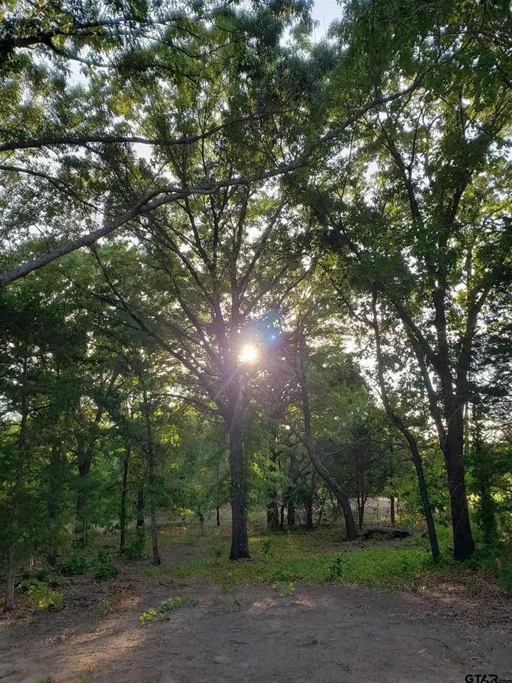 20039 C County Road 450, Lindale, TX 75771 - Image #3