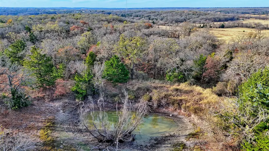 000 Carminati, Montague, TX 76251 - Image #3