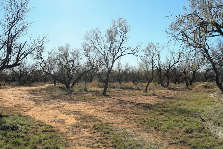 TBD 42 County Road 318, Abilene, TX 79606 - Image #2