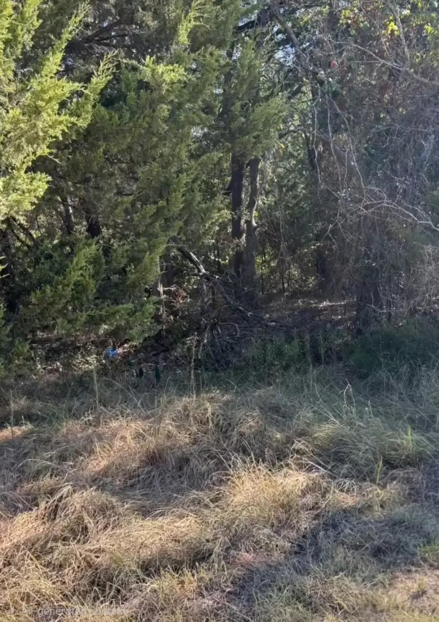 TBD NW County Road 3112, Purdon, TX 76679 - Image #2