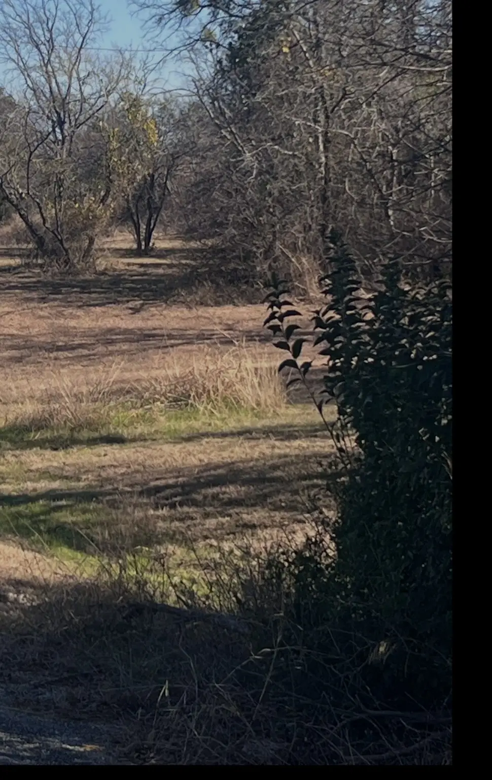 2 Lots Lanai Drive, Runaway Bay, TX 76426 - Image #1