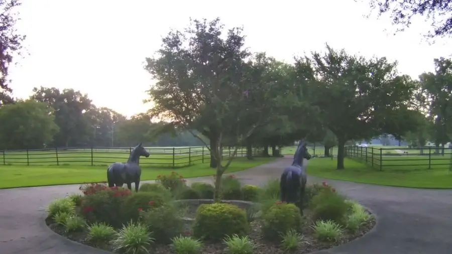 6019 Fm 2263, Gilmer, TX 75644 - Image #3