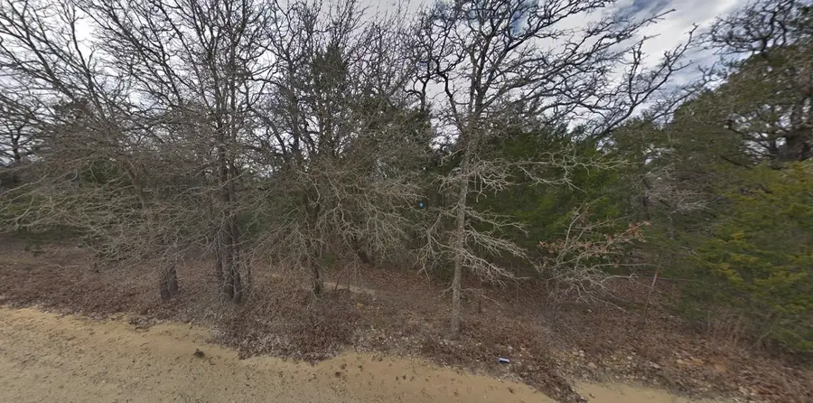 1601 Gotier Trace Road, Paige, TX 78659 - Image #2