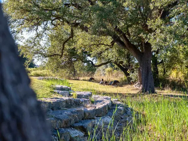 6328 N Aberdeen Drive, Cleburne, TX 76033