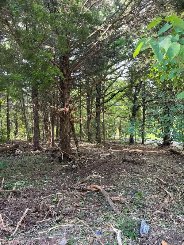 141 Eastern Hills Drive, Mabank, TX 75156