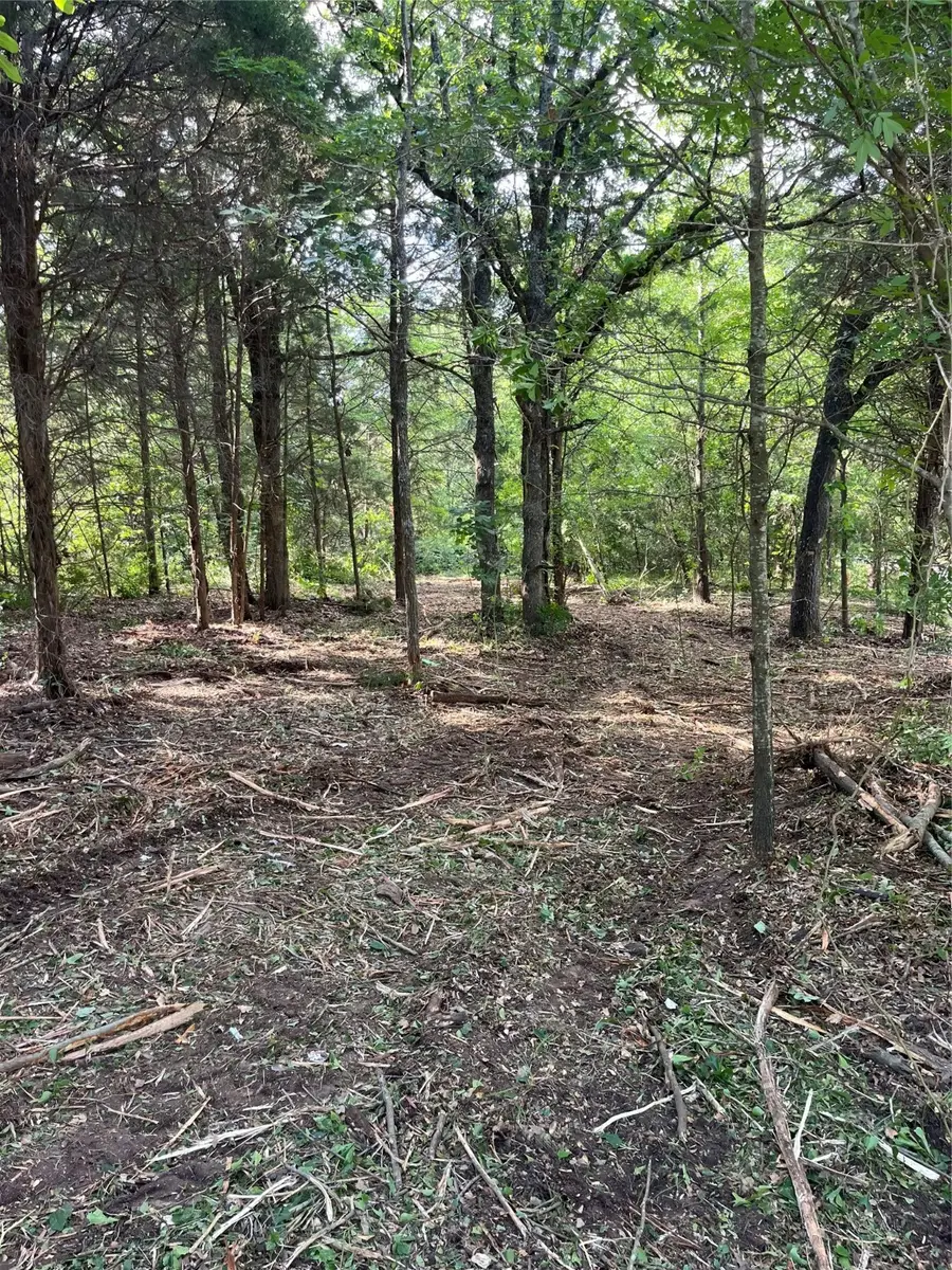 141 Eastern Hills Drive, Mabank, TX 75156 - Image #2