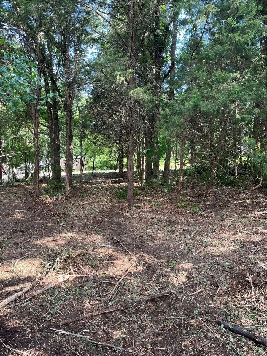 141 Eastern Hills Drive, Mabank, TX 75156 - Image #3