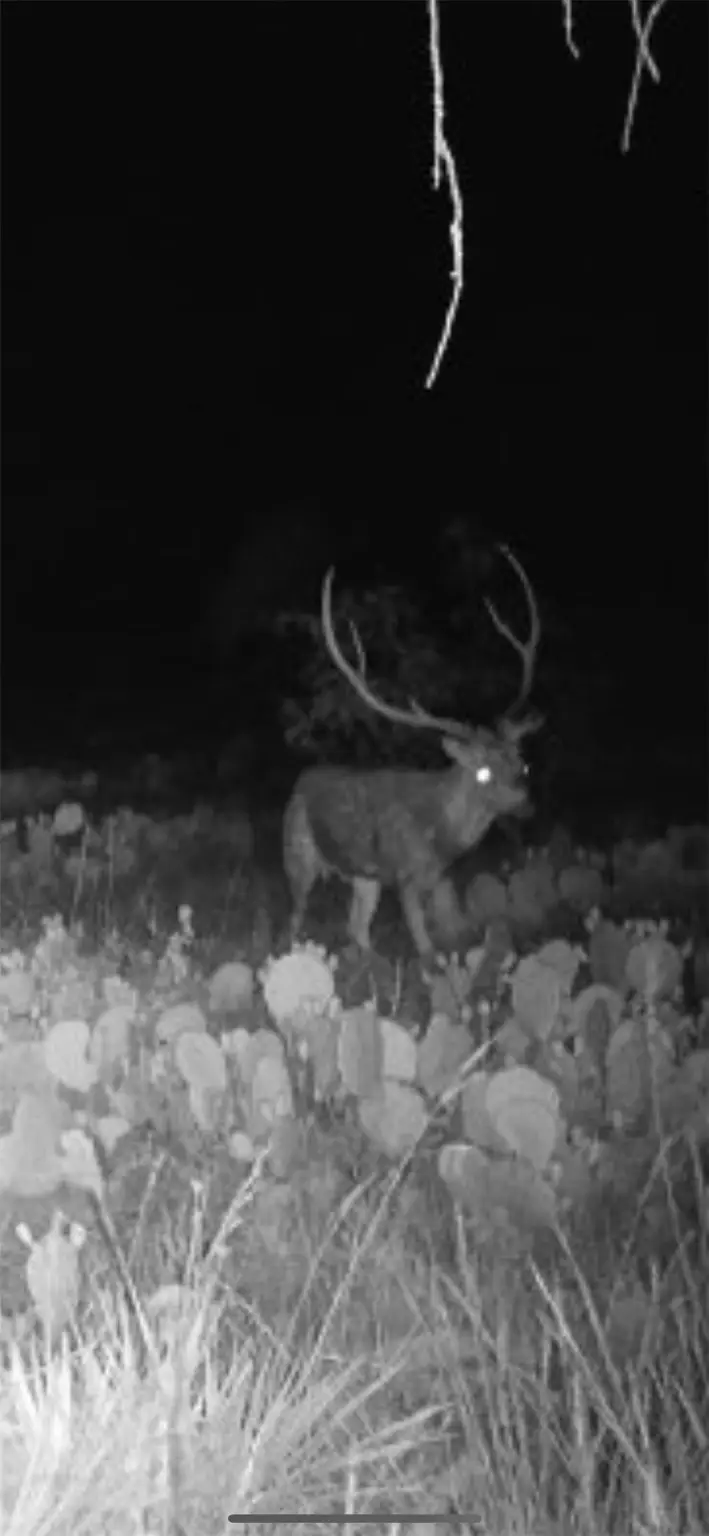 43 Cave Well Ranch, Fort McKavett, TX 76825 - Image #1