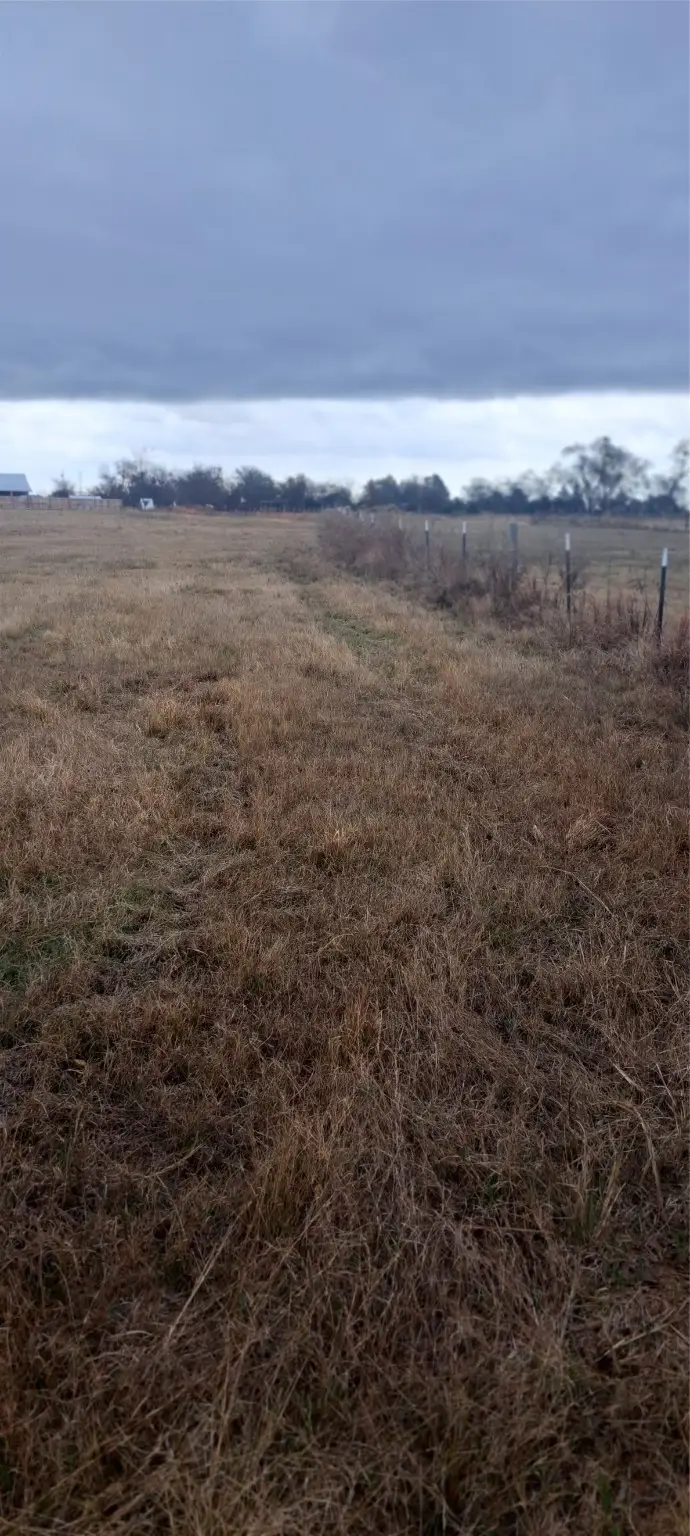 8205 Texas Highway 11 W, Sulphur Springs, TX 75482 - Image #3