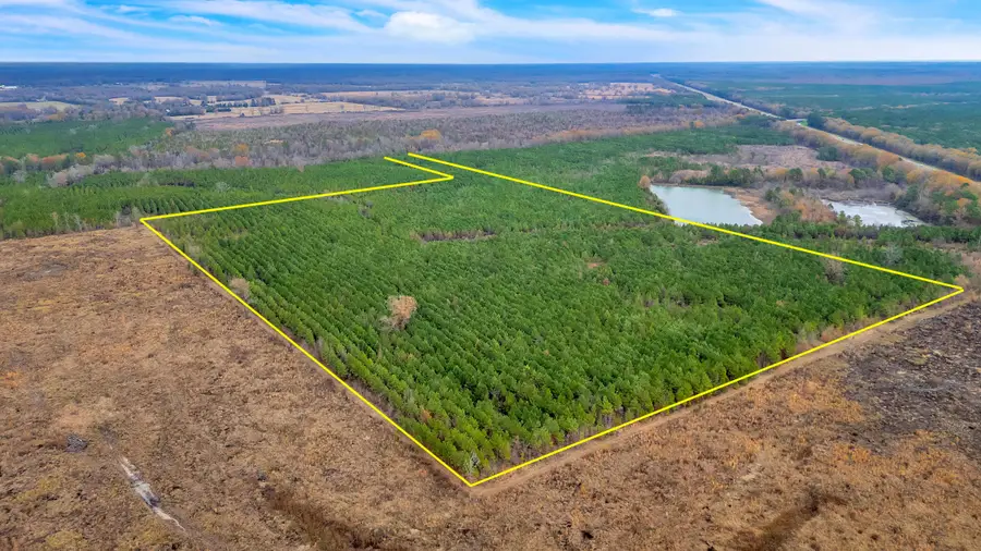 TBD Cr-4308, De Kalb, TX 75559 - Image #3