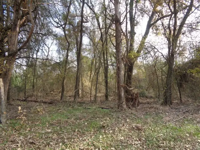 TBD Cr 4870, Winnsboro, TX 75494 - #3