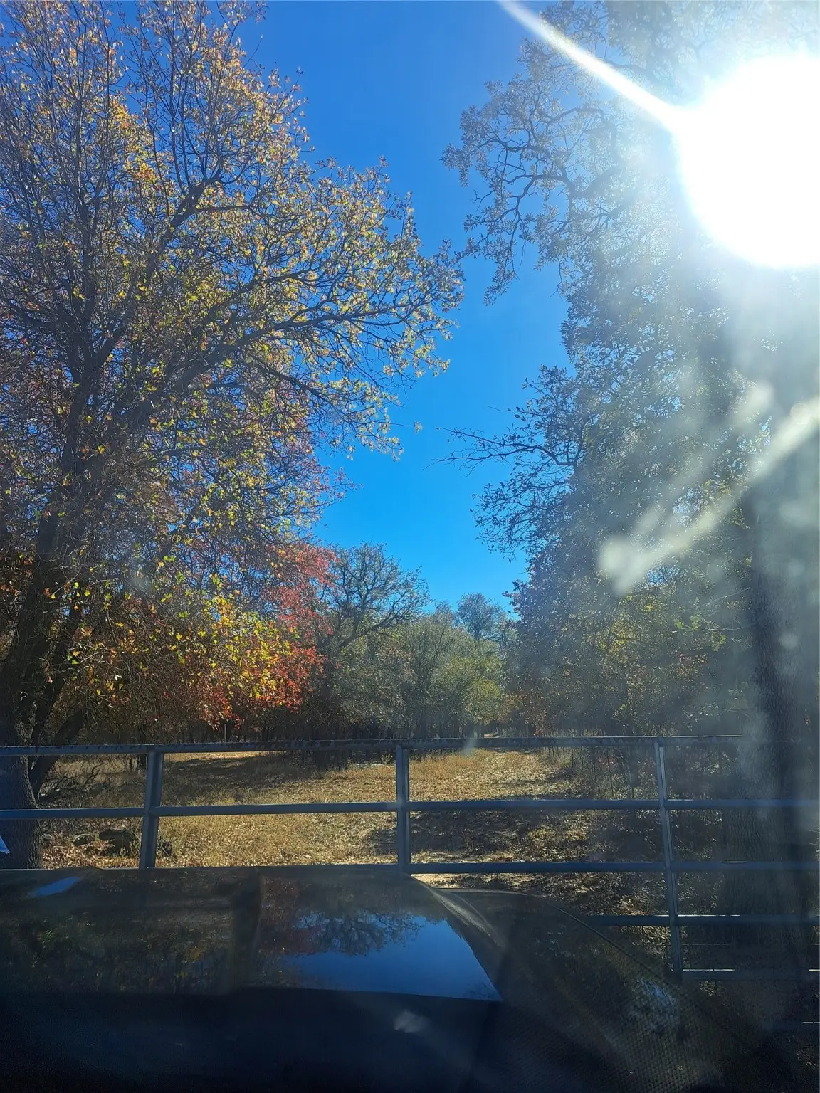 20.987 acres TBD FM 3368, Hawley, TX 78525 - Image #1