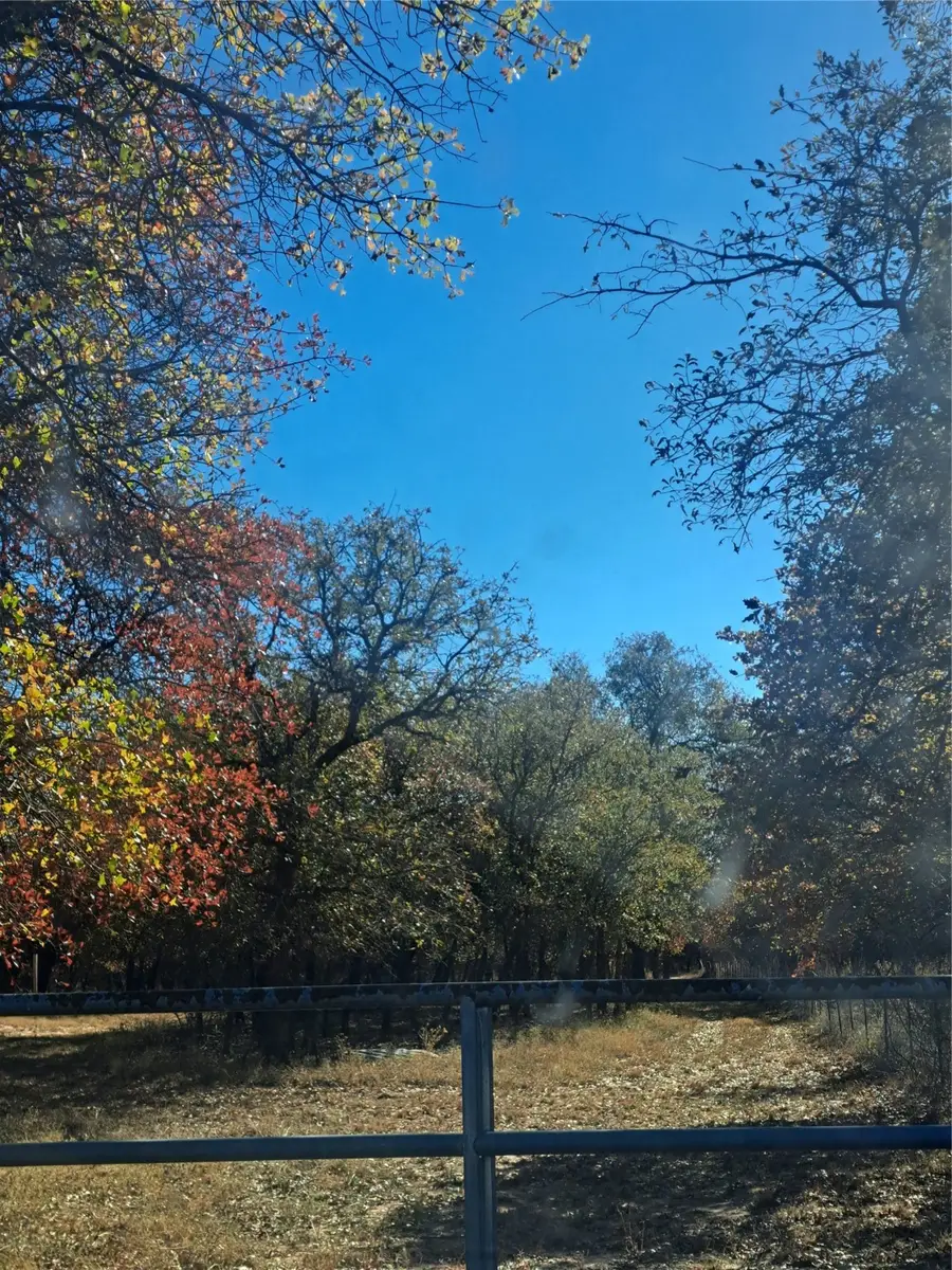 20.987 acres TBD FM 3368, Hawley, TX 78525 - Image #2