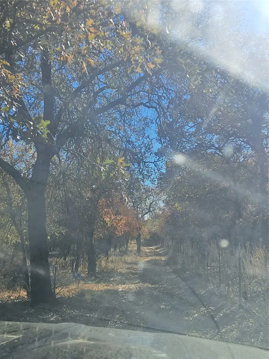 20.987 acres TBD FM 3368, Hawley, TX 78525 - Image #3