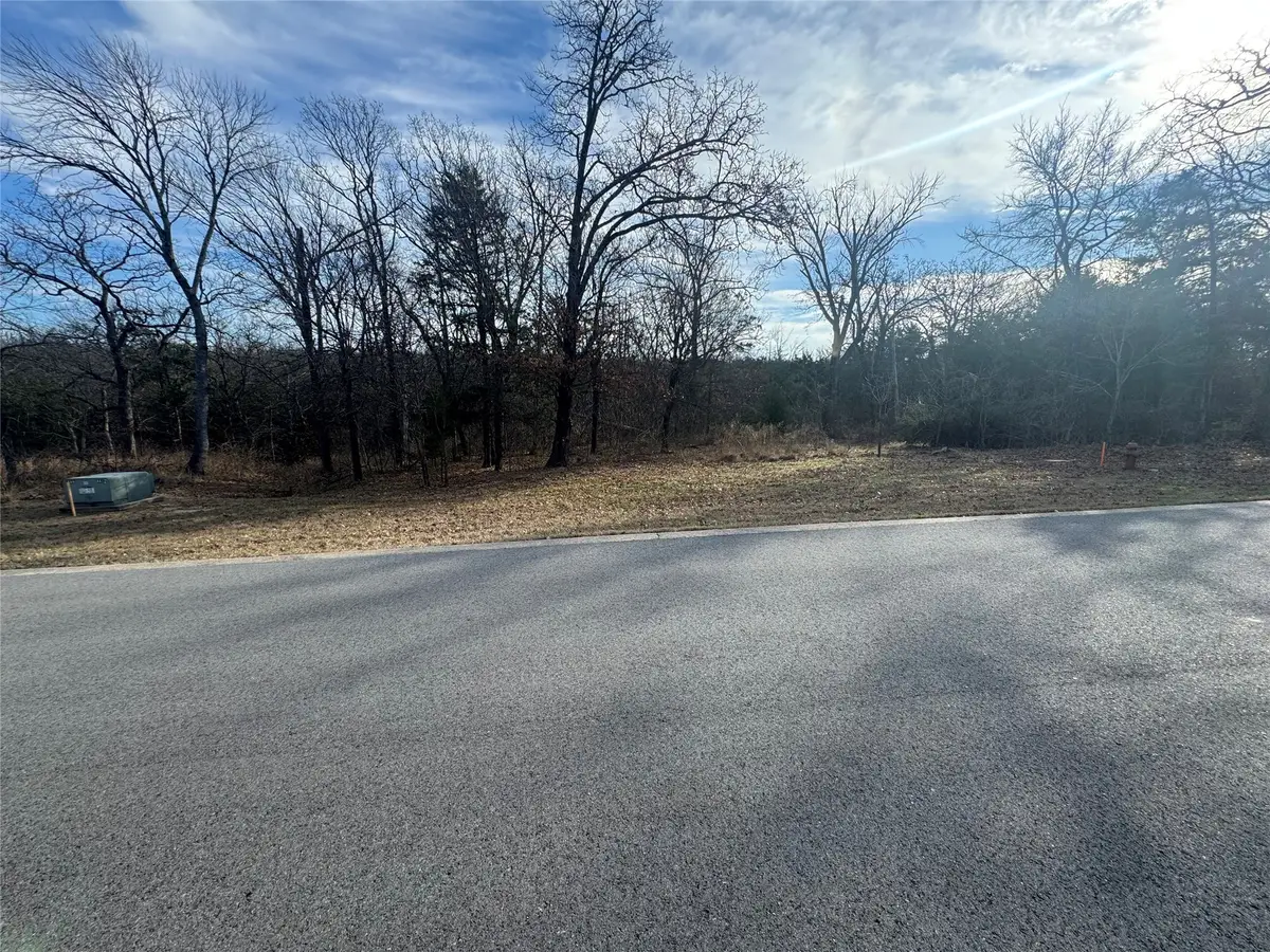 Lot 37 Dove Canyon Drive, Gordonville, TX 76245 - Image #1