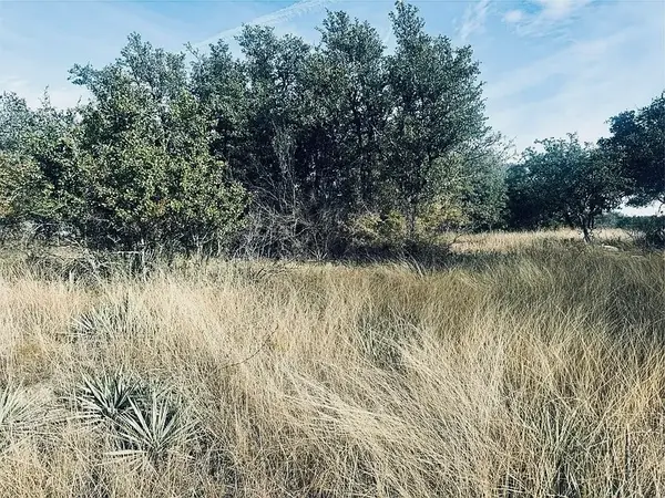 194 Willie B Drive, Brownwood, TX 76801