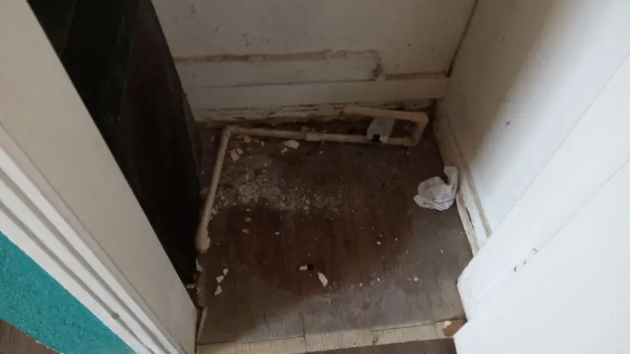 4117 Wiman Drive, Fort Worth, TX 76119 - Image #3