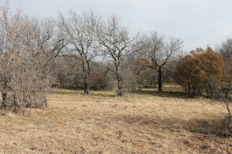 Lot 202 Ridgeline Drive, Chico, TX 76431 - Image #2