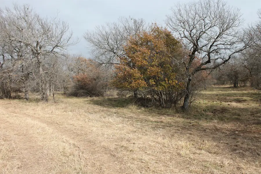 Lot 202 Ridgeline Drive, Chico, TX 76431 - Image #3