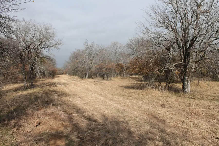 Lot 203 Ridgeline Drive, Chico, TX 76431 - Image #2