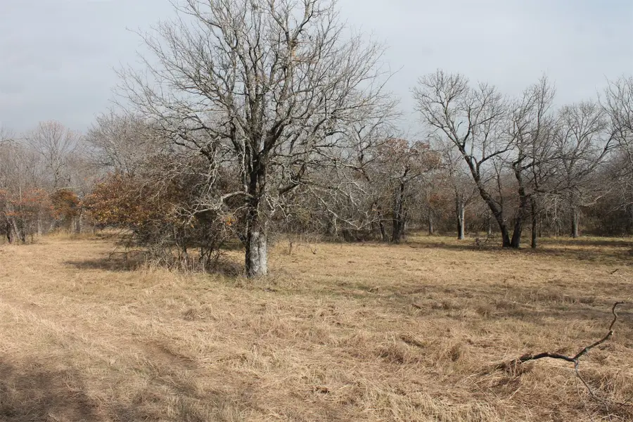 Lot 203 Ridgeline Drive, Chico, TX 76431 - Image #3
