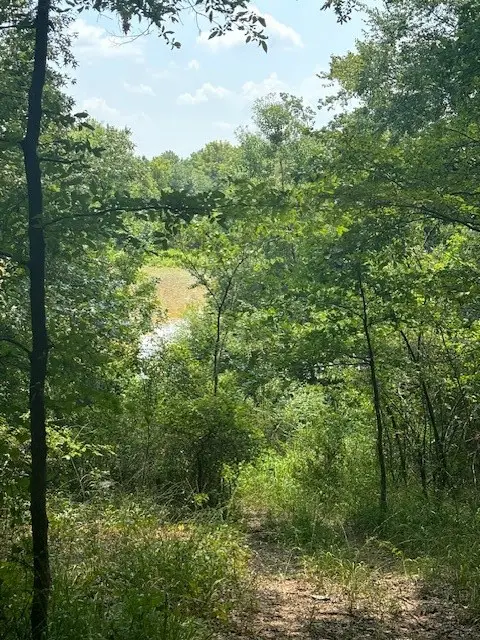 0 Bodcau Station Road, Haughton, LA 71037 - Image #3