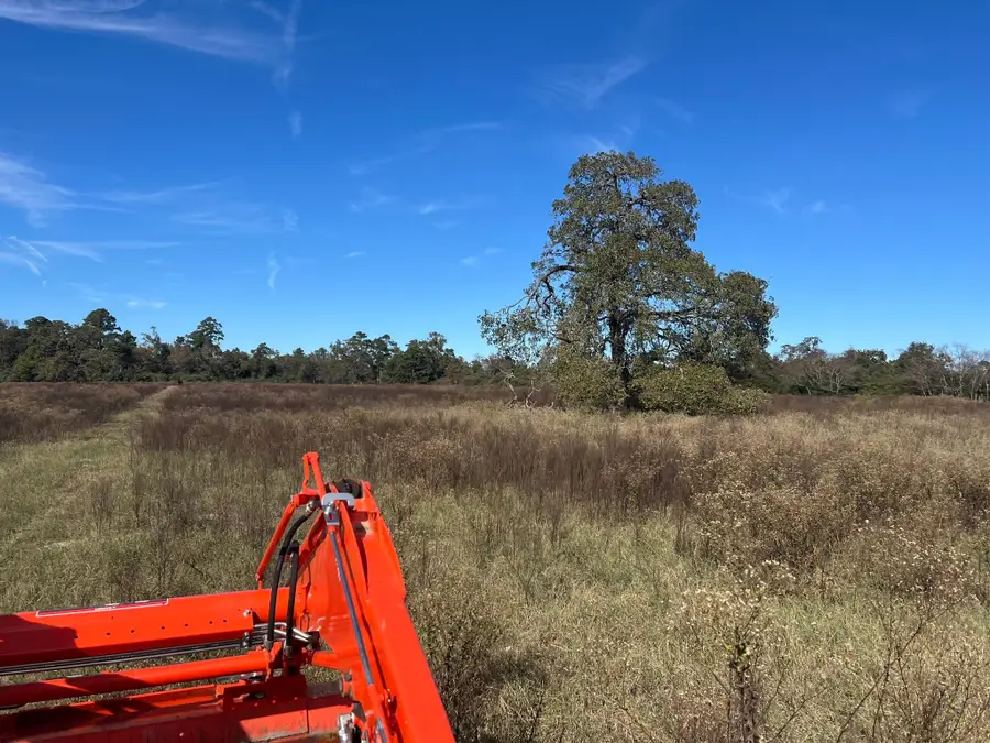 tbd Pr 1315, Centerville, TX 75833 - Image #3