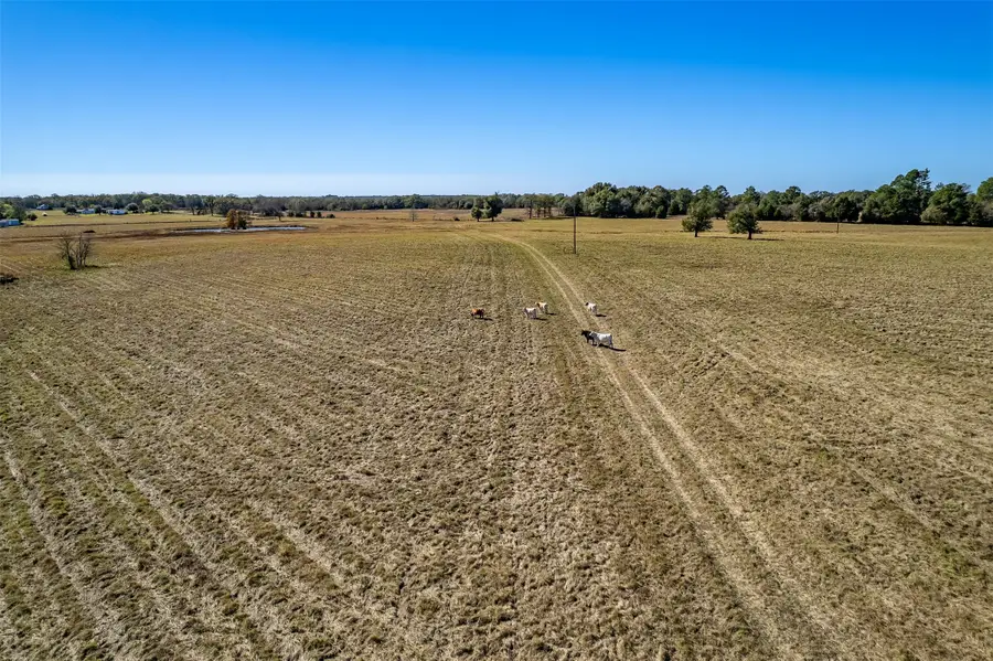 000 Fm 1504, Wills Point, TX 75169 - #3