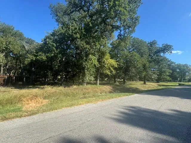 TBD Allie Court, Hudson Oaks, TX 76087 - Image #3