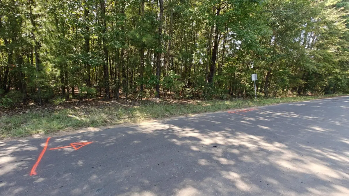 24068 County Road 244, Overton, TX 75684 - Image #1