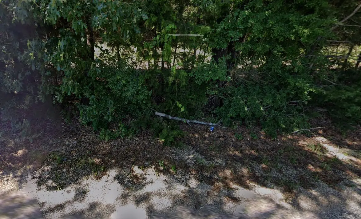 1851 County Rd 44800, Blossom, TX 75416 - Image #1